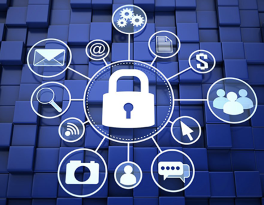 10 Essential Steps to Shield Your Data: Network Protection in Focus
